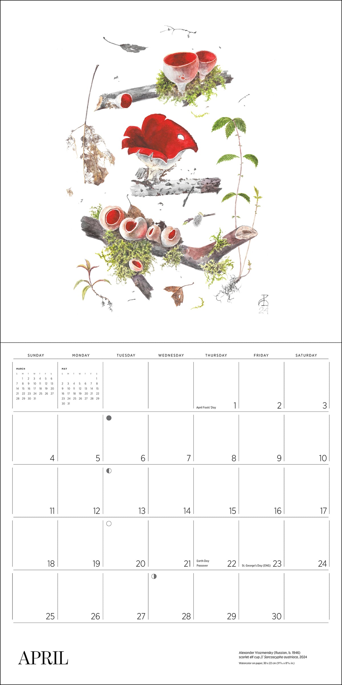 Mushrooms: Alexander Viazmensky 2027 Wall Calendar_Interior_4