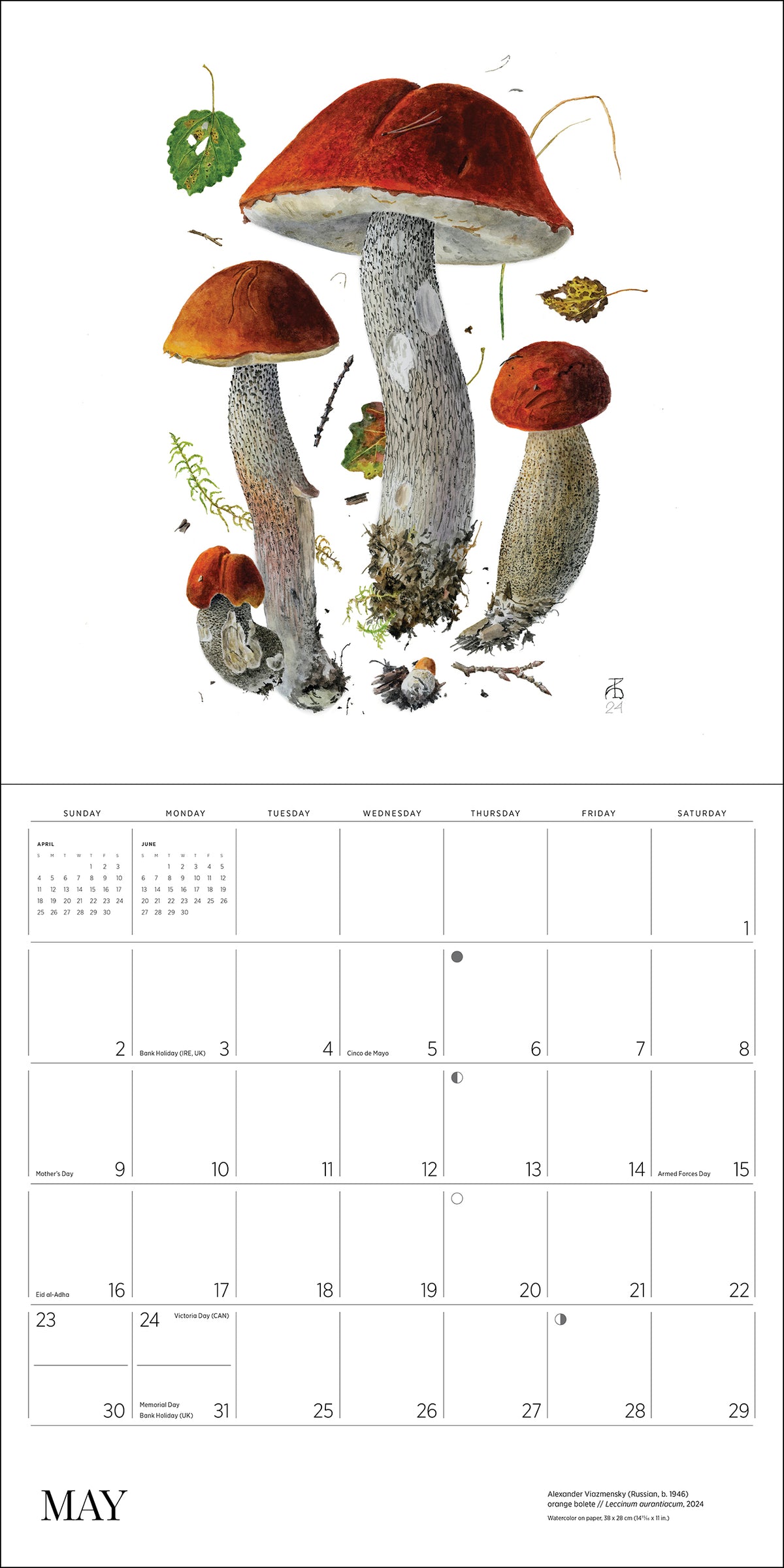 Mushrooms: Alexander Viazmensky 2027 Wall Calendar_Interior_5