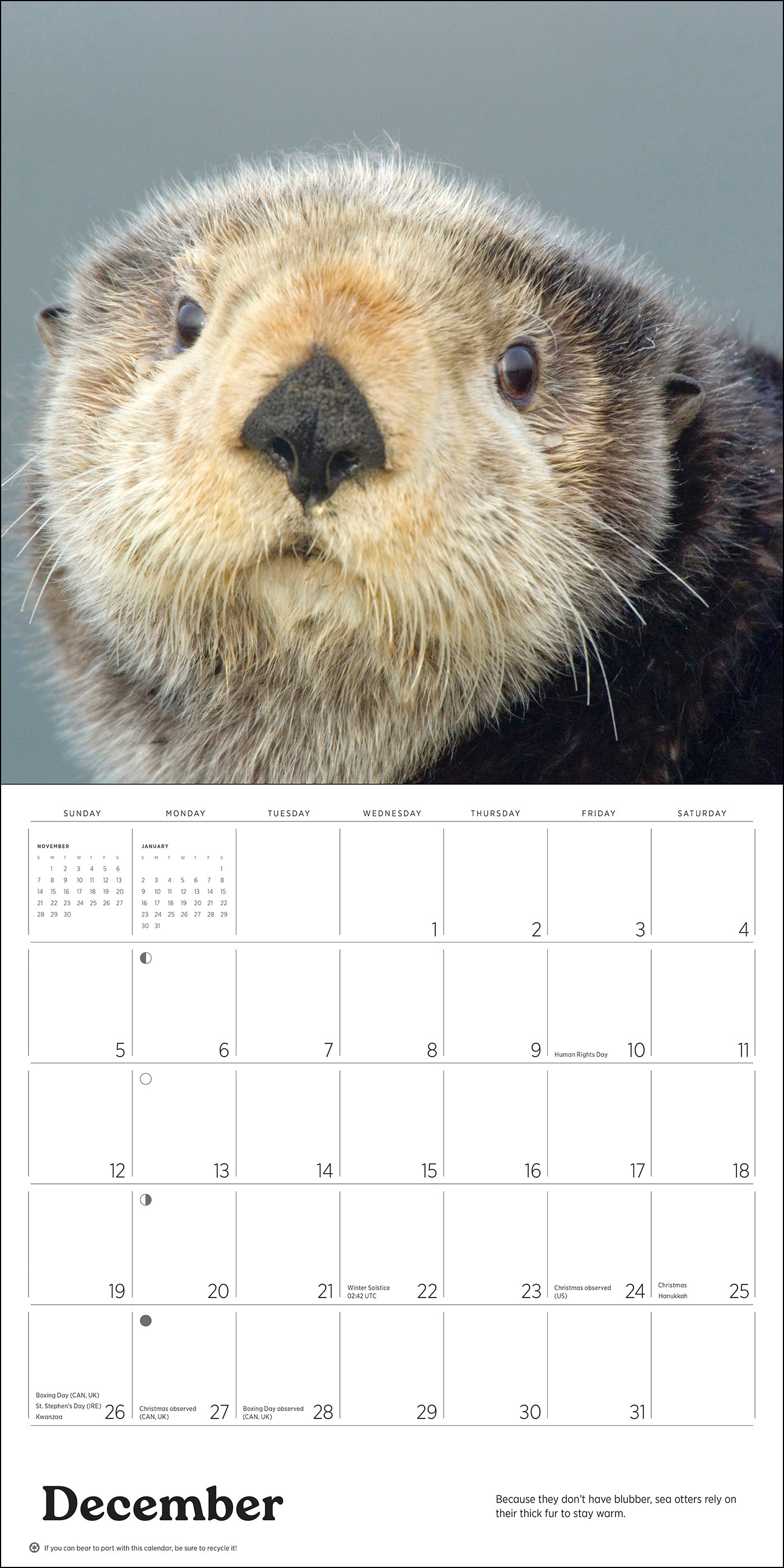 Sea Otters: Photographs by Tom and Pat Leeson 2027 Wall Calendar_Interior_3