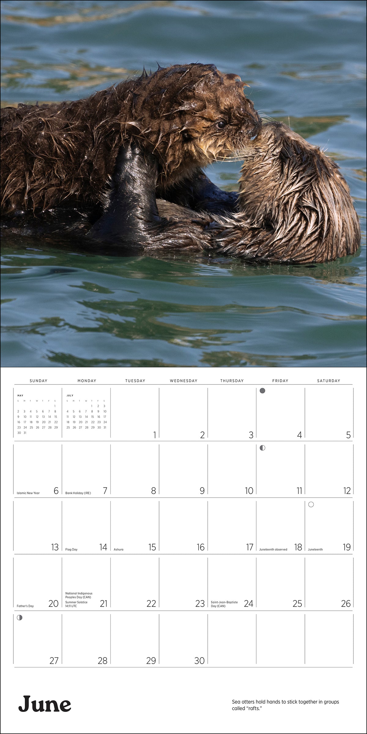 Sea Otters: Photographs by Tom and Pat Leeson 2027 Wall Calendar_Interior_4