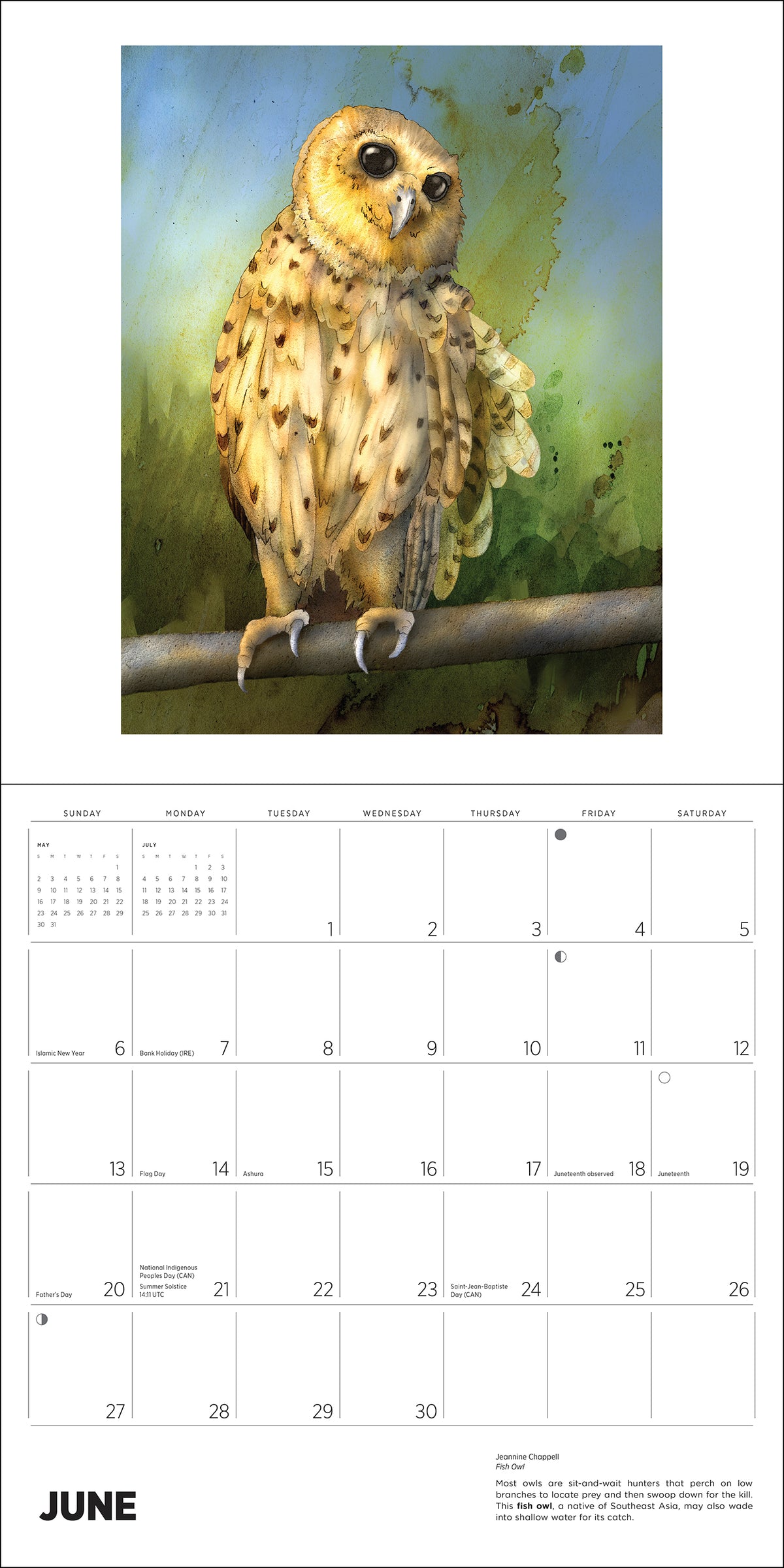 Owls: Jeannine Chappell 2027 Wall Calendar_Interior_2