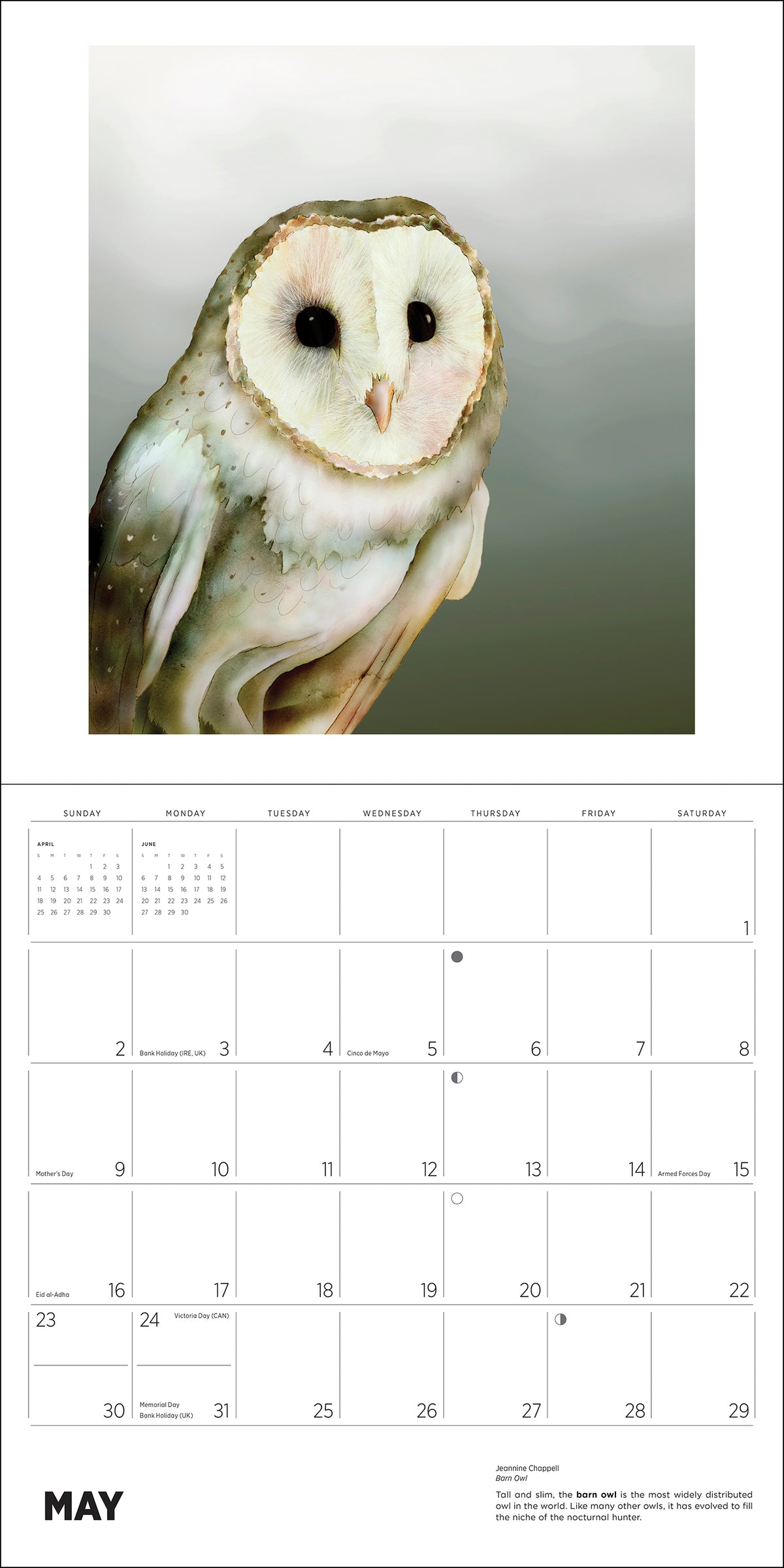 Owls: Jeannine Chappell 2027 Wall Calendar_Interior_5