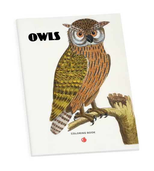 Owls Coloring Book_Primary