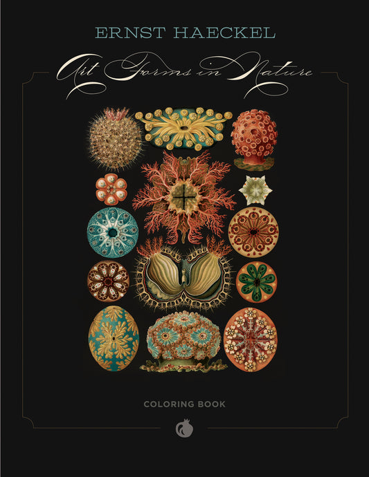 Ernst Haeckel: Art Forms in Nature Coloring Book_Front_3D