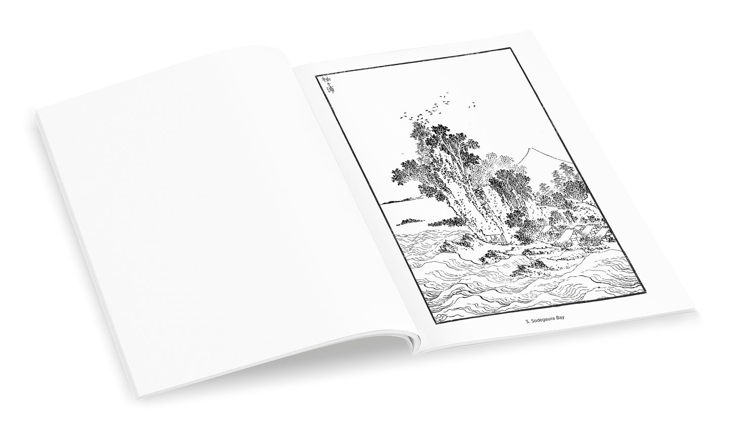 Hokusai: Views of Mt. Fuji Coloring Book_Back_Multipiece