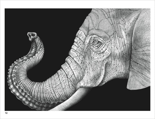 Intricate Ink: Animals in Detail Coloring Book_Front_Flat