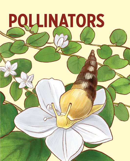 Pollinators Knowledge Cards_Primary