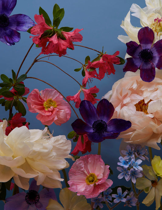 Doan Ly Flowers Keepsake Boxed Notecards_Front_Flat