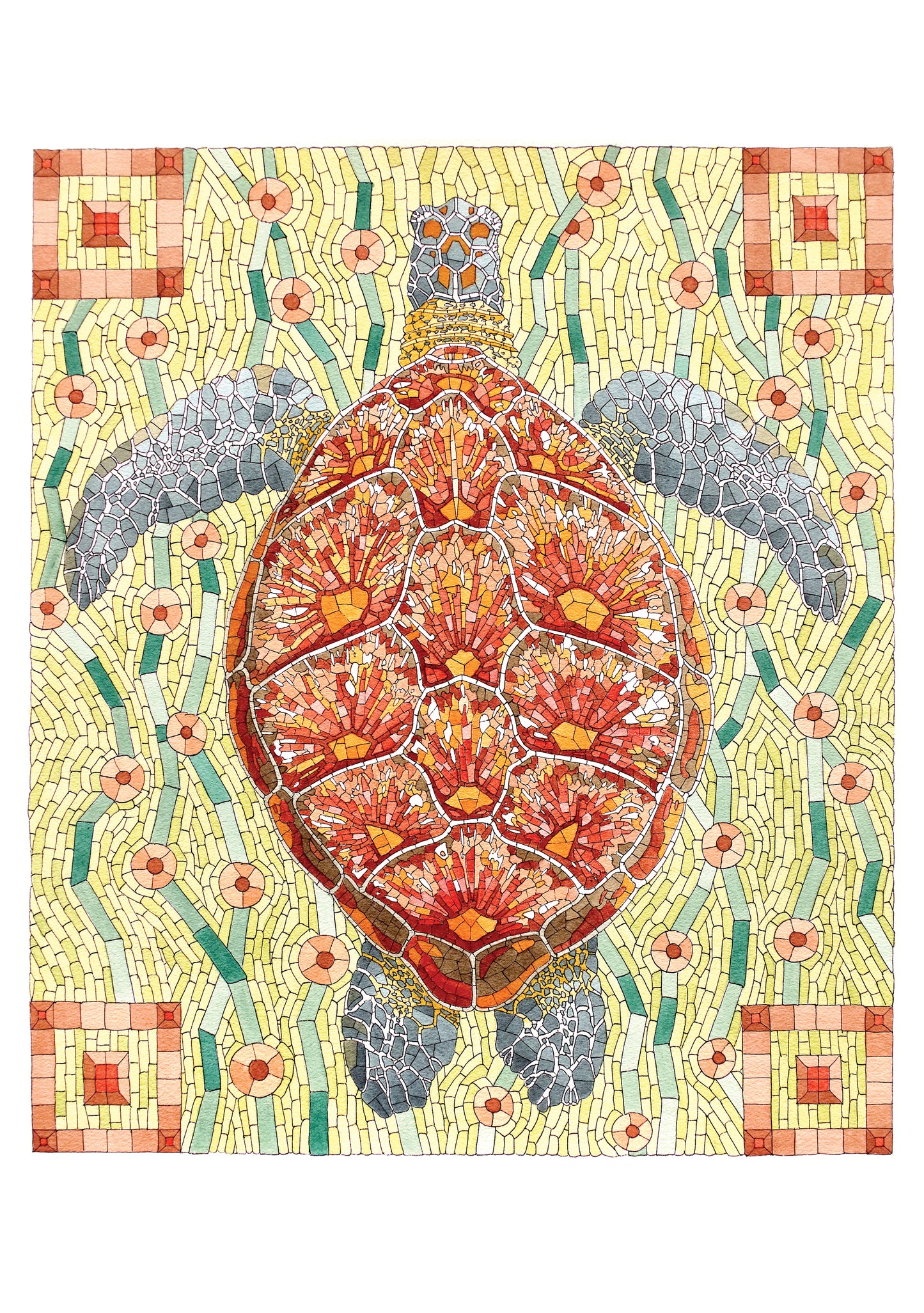 David Cohen: Sea Turtle Notecard_Front_Flat