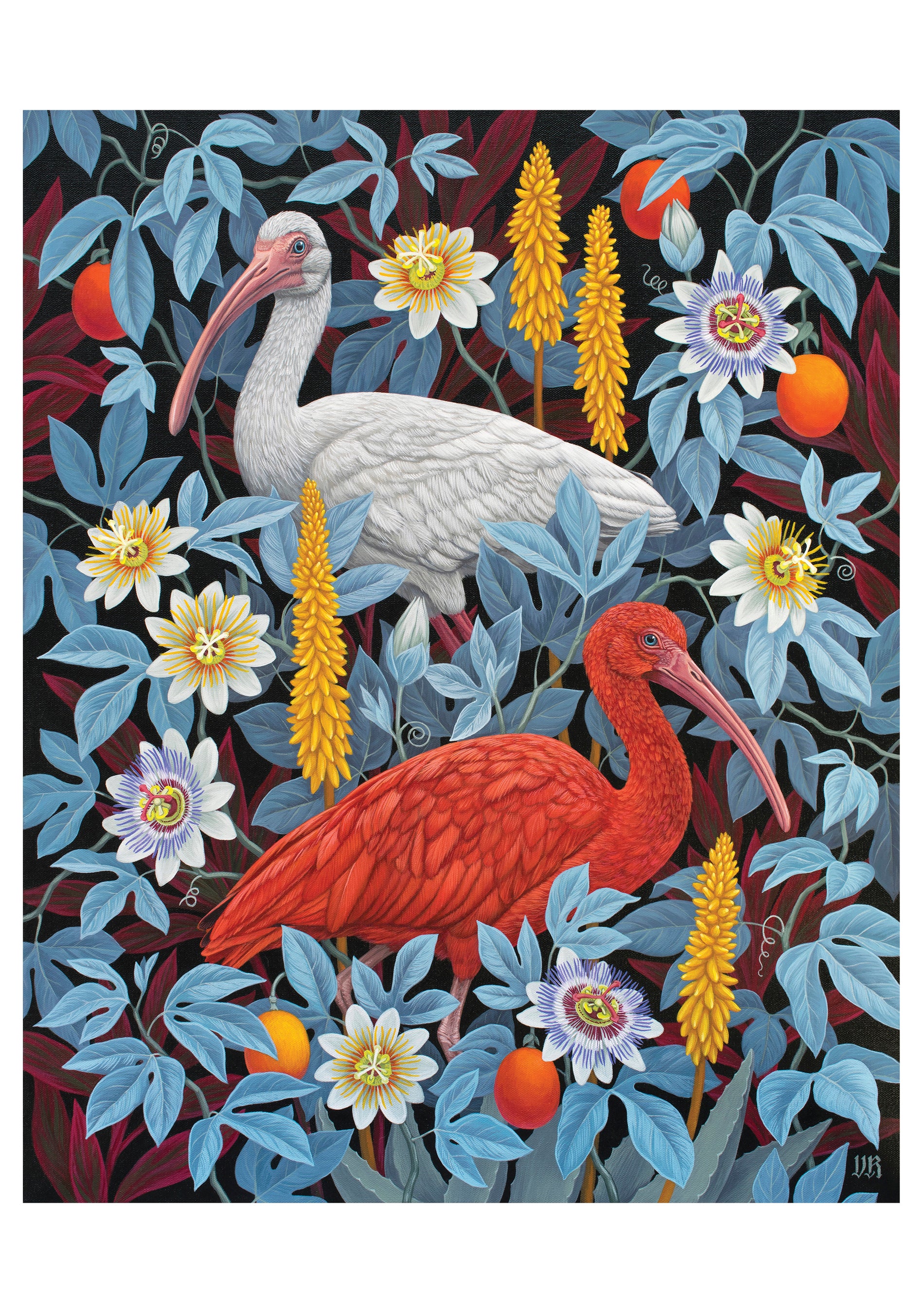 Vasilisa Romanenko: Ibises Notecard – Pomegranate