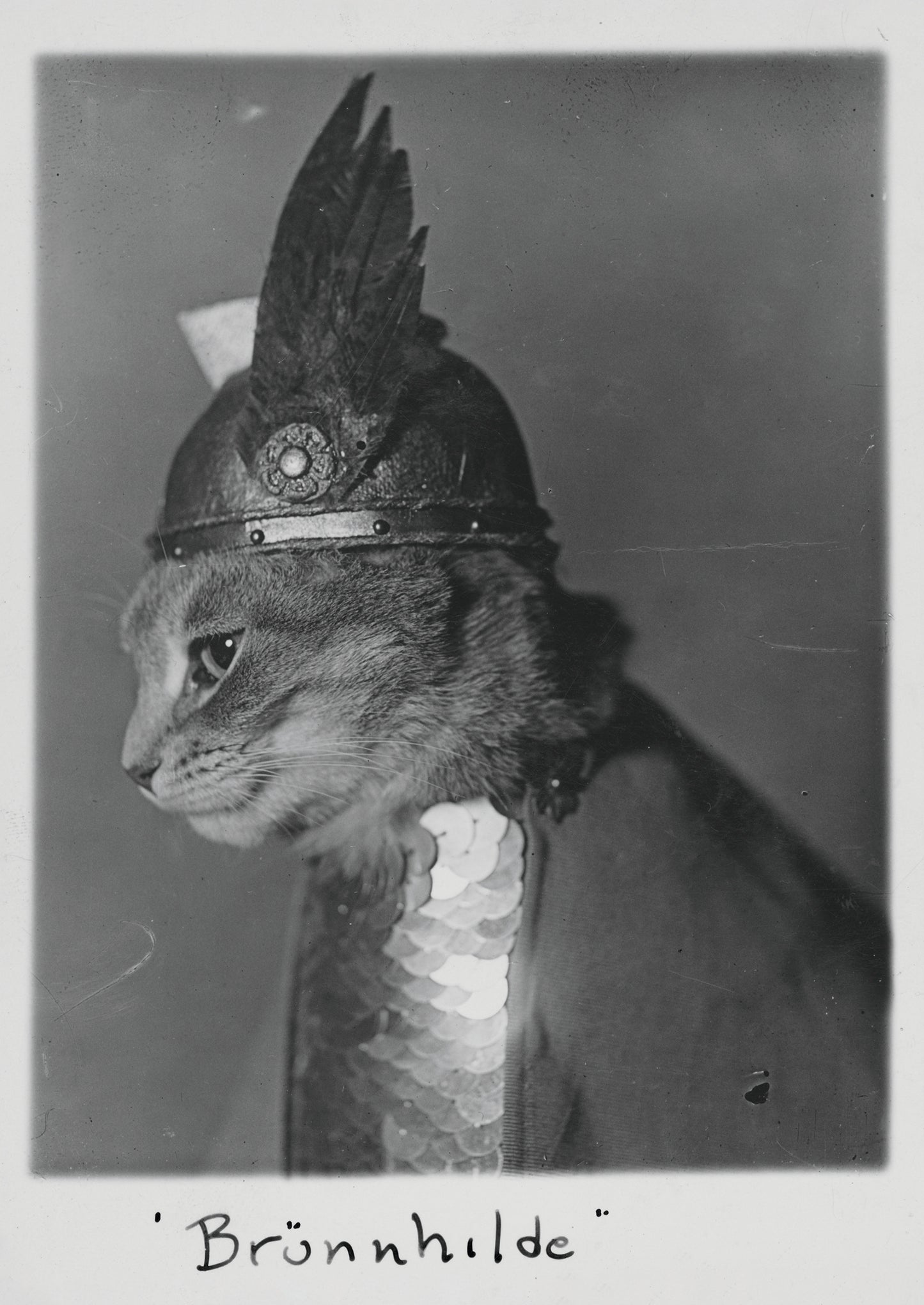 Brünnhilde Postcard_Front_Flat