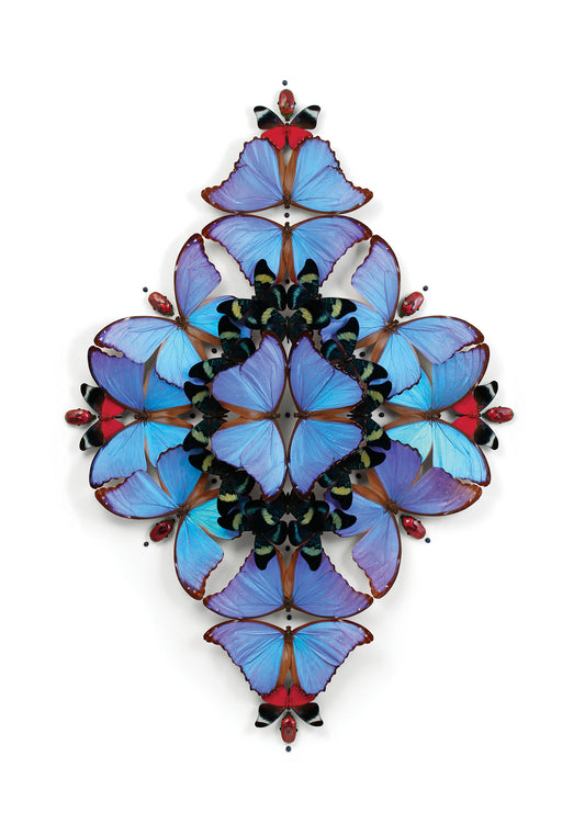 Christopher Marley: Sinfonietta Small Boxed Cards_Front_3D