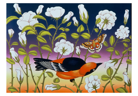 Billy Hassell: White Roses Small Boxed Cards_Front_3D