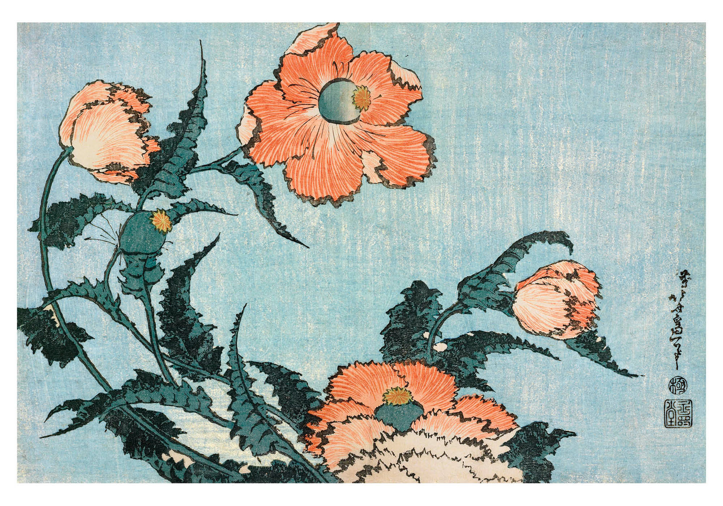 Hokusai: Poppies Small Boxed Cards_Interior_1