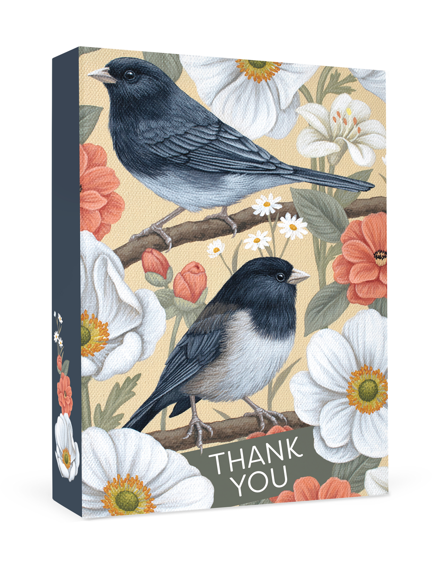 Vasilisa Romanenko: Dark-eyed Juncos Thank You Notes_Primary