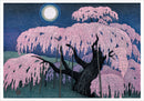 Kazuyuki Ohtsu: Cherry Trees Boxed Notecard Assortment_Interior_3