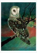 Barn Owls by Jeannine Chappell Boxed Notecard Assortment_Interior_2