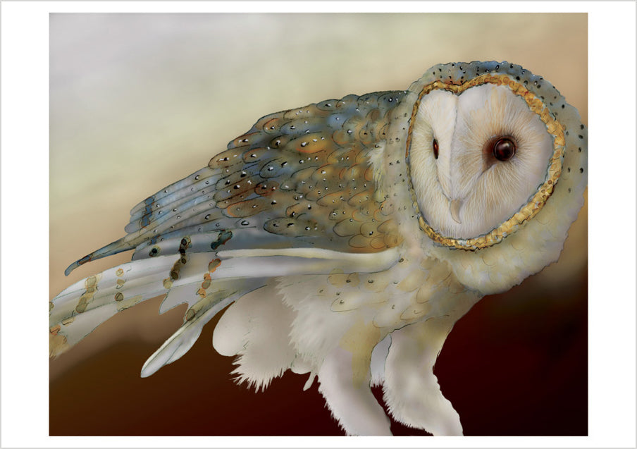 Barn Owls by Jeannine Chappell Boxed Notecard Assortment_Interior_4
