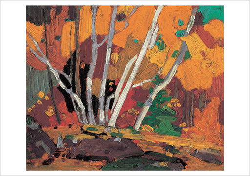 Tom Thomson: Autumn Birches Postcard_Front_Flat