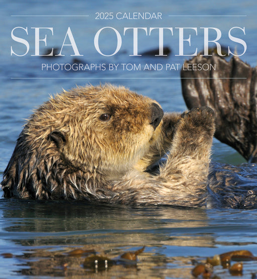 Sea Otters: Photographs by Tom and Pat Leeson 2025 Wall Calendar_Front_Flat