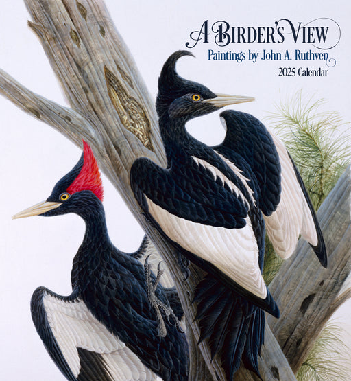 A Birder's View: Paintings by John A. Ruthven 2025 Wall Calendar_Front_Flat