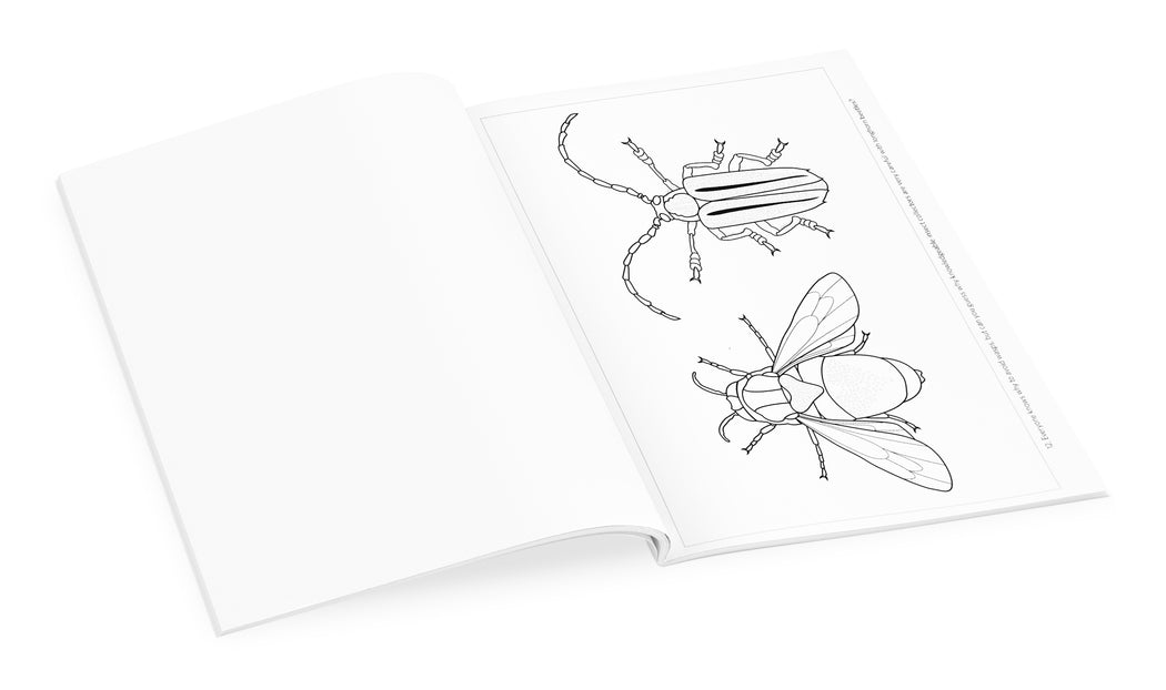 Incredible Insects: Designs by Christopher Marley Coloring Book_Interior_1