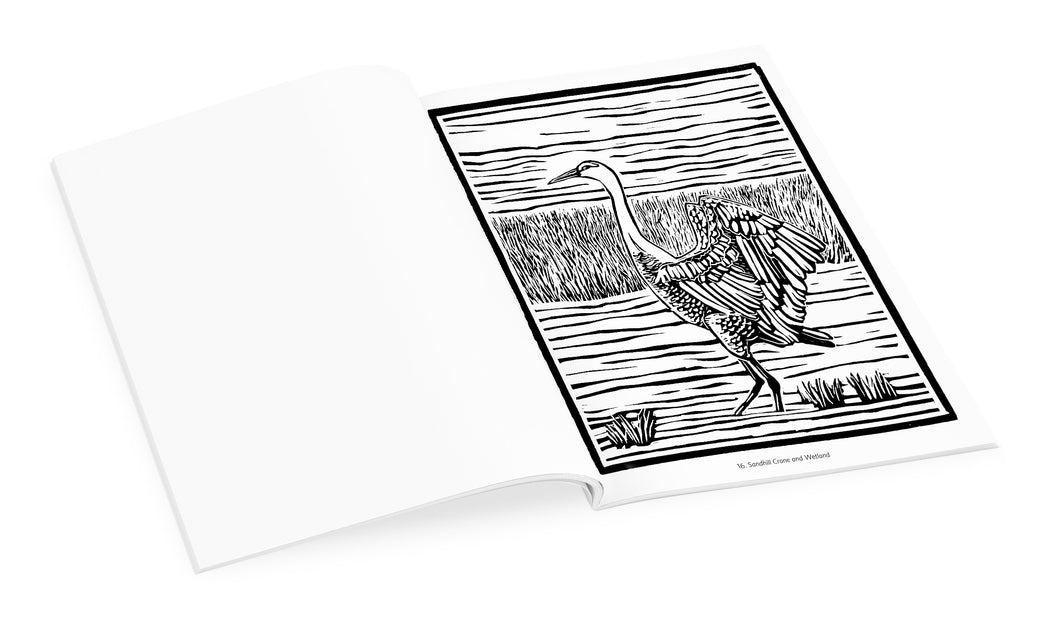 Molly Hashimoto: Birds & Other Wildlife Coloring Book_Interior_3