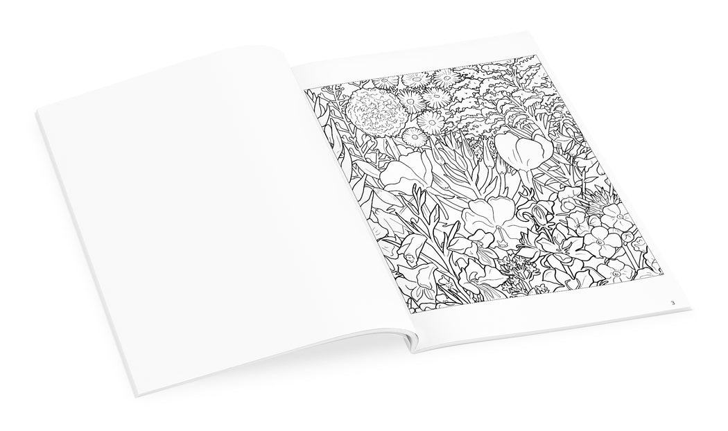 Rosalind Wise: Flower Cycle Coloring Book_Interior_2
