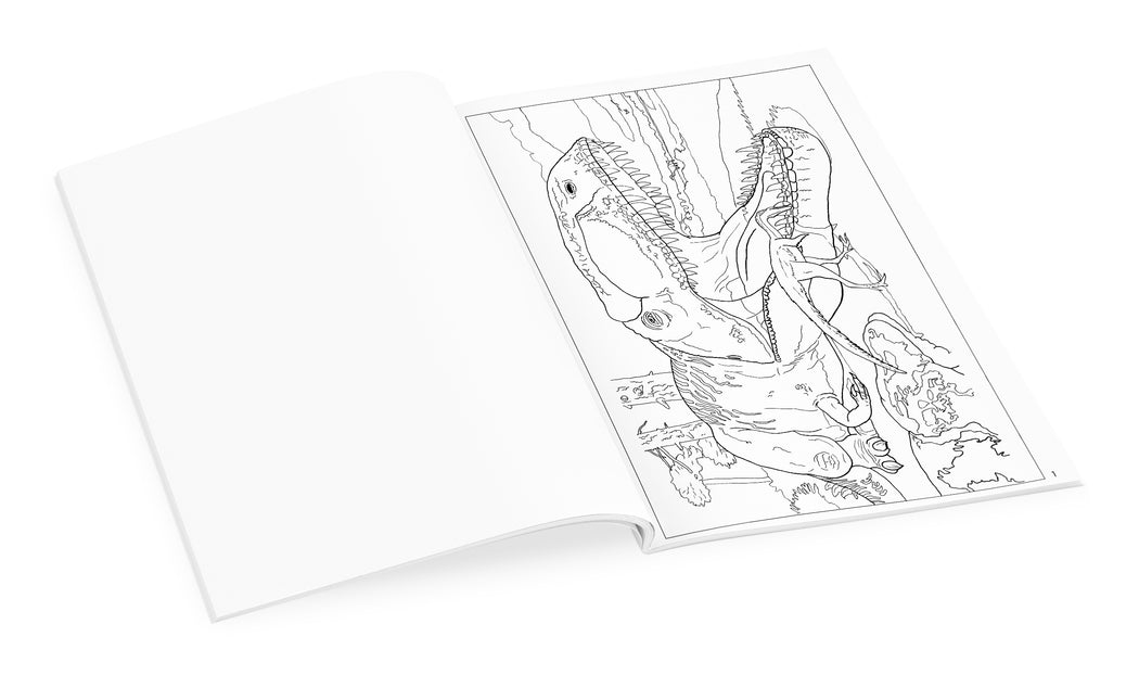 Dinosaurs Coloring Book_Interior_1