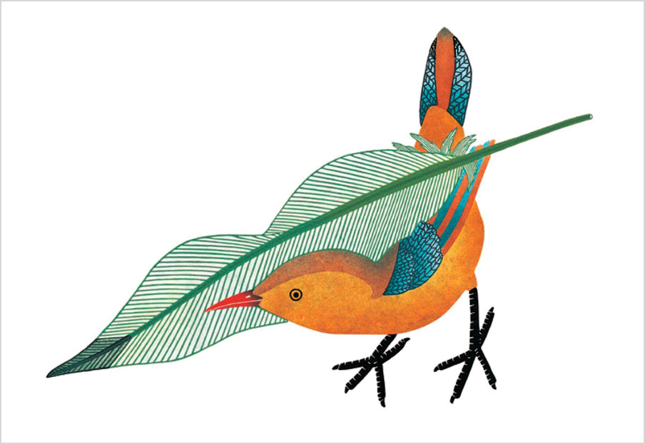 Qavavau Manumie: Feathering the Nest Birthday Card_Front_Flat