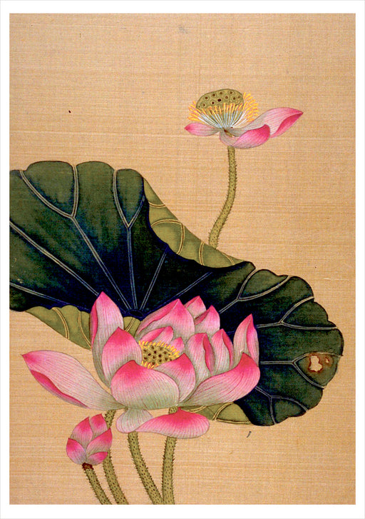Chiang Su: Lotus Blossoms Birthday Card_Front_Flat