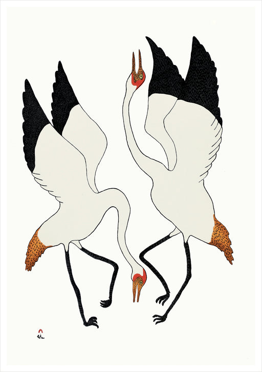 Quvianaqtuk Pudlat: Dancing Cranes Birthday Card_Front_Flat