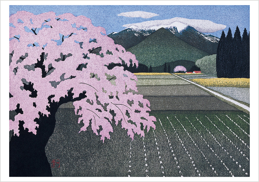 Kazuyuki Ohtsu: Cherry Trees Boxed Notecard Assortment – Pomegranate