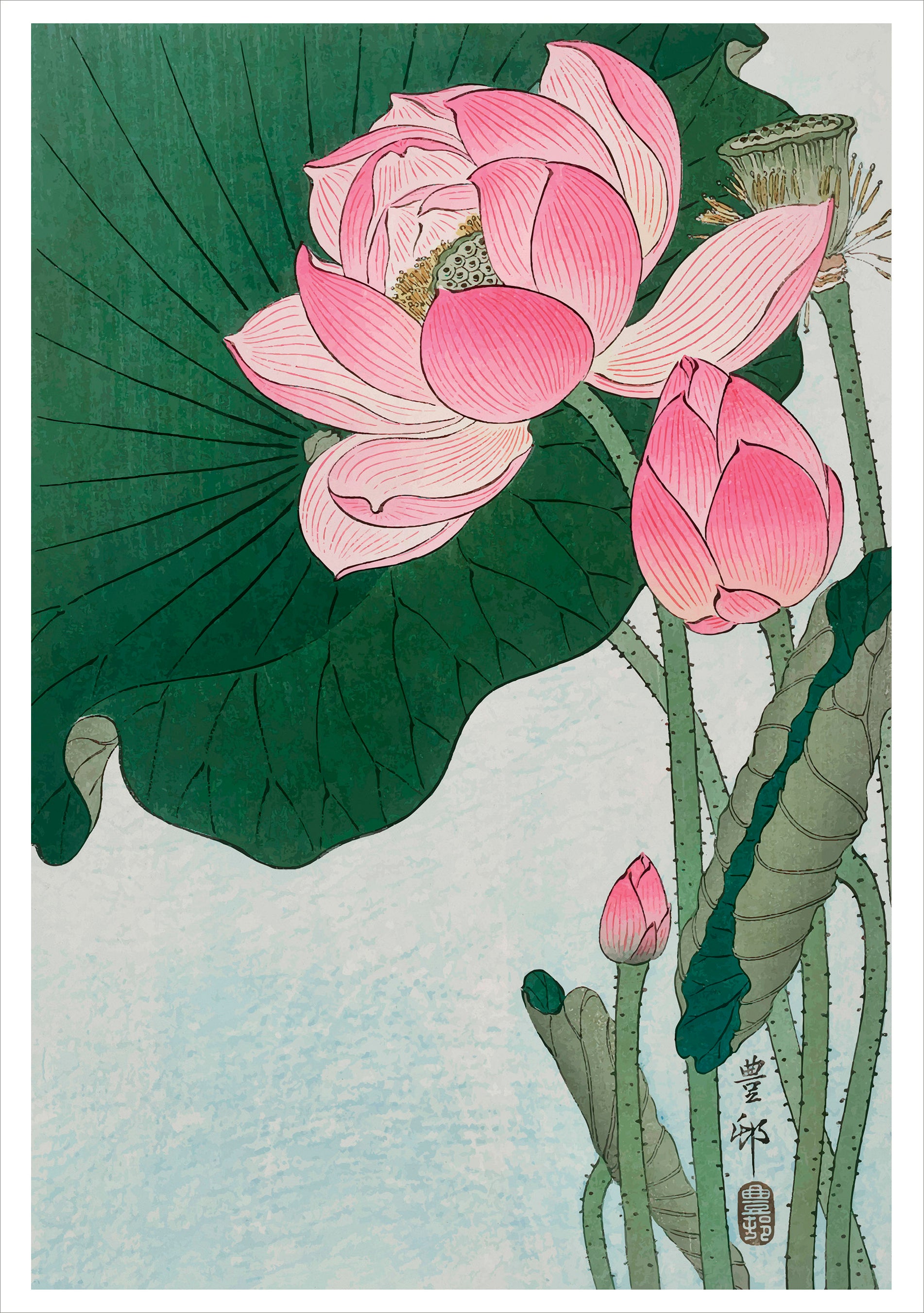 Ohara Koson (Shōson): Blooming Lotus Notecard – Pomegranate