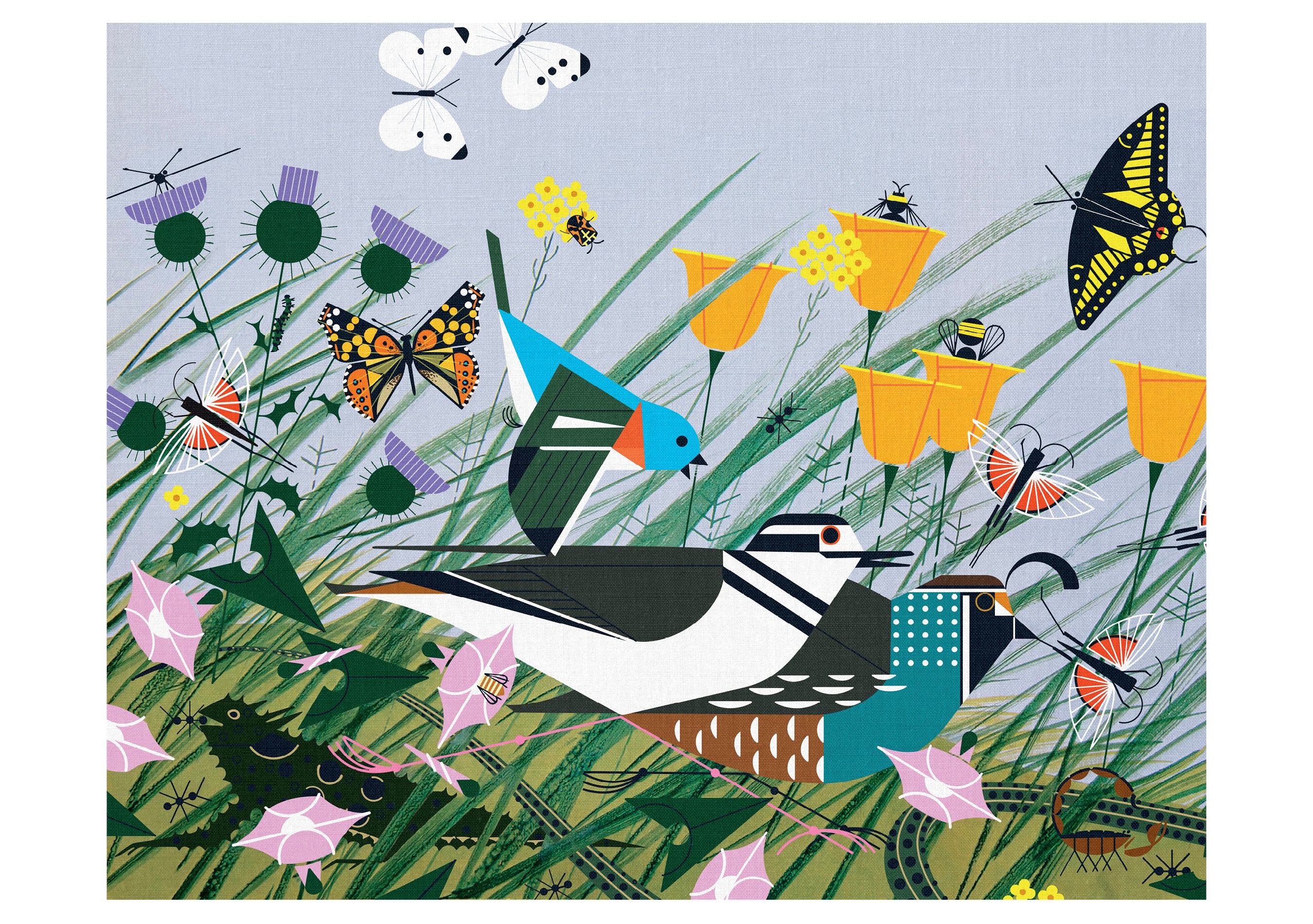 Charley Harper: Once There Was a Field Notecard – Pomegranate
