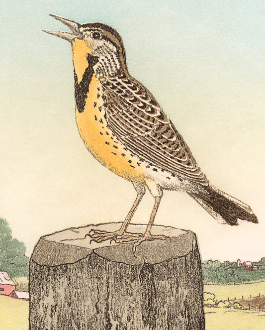 Maurice R. Bebb: Meadowlark Bookmark_Front_Flat