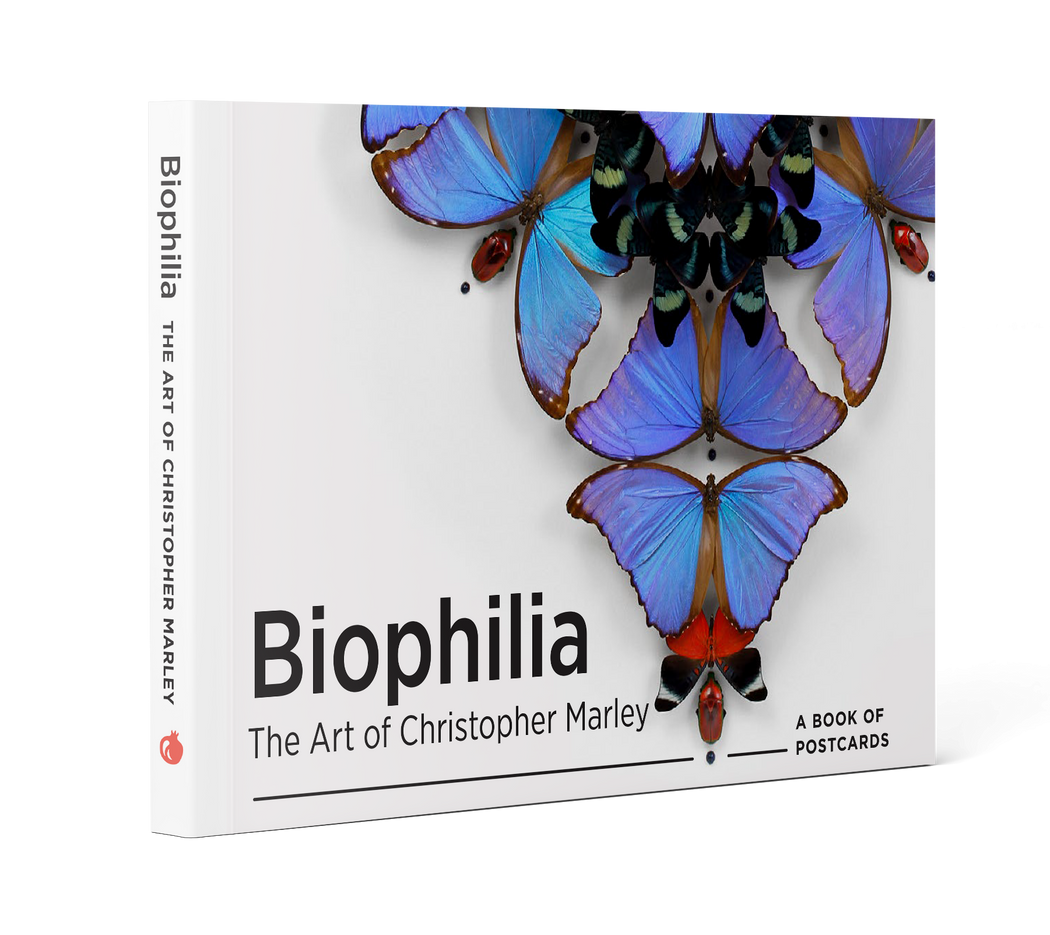 Biophilia: The Art of Christopher Marley Book of Postcards_Front_3D