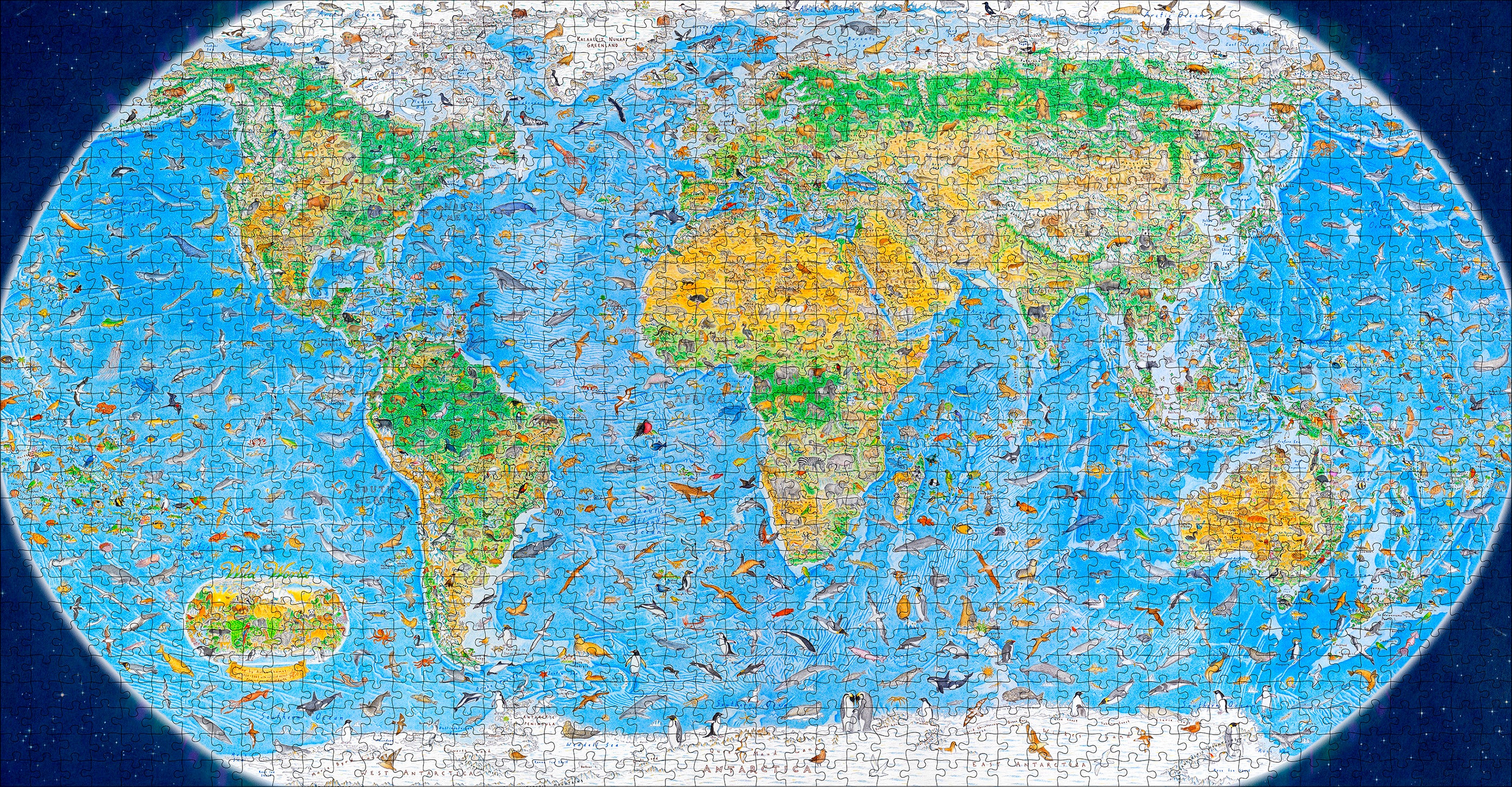 Anton Thomas: Wild World 1500-Piece Jigsaw Puzzle – Pomegranate