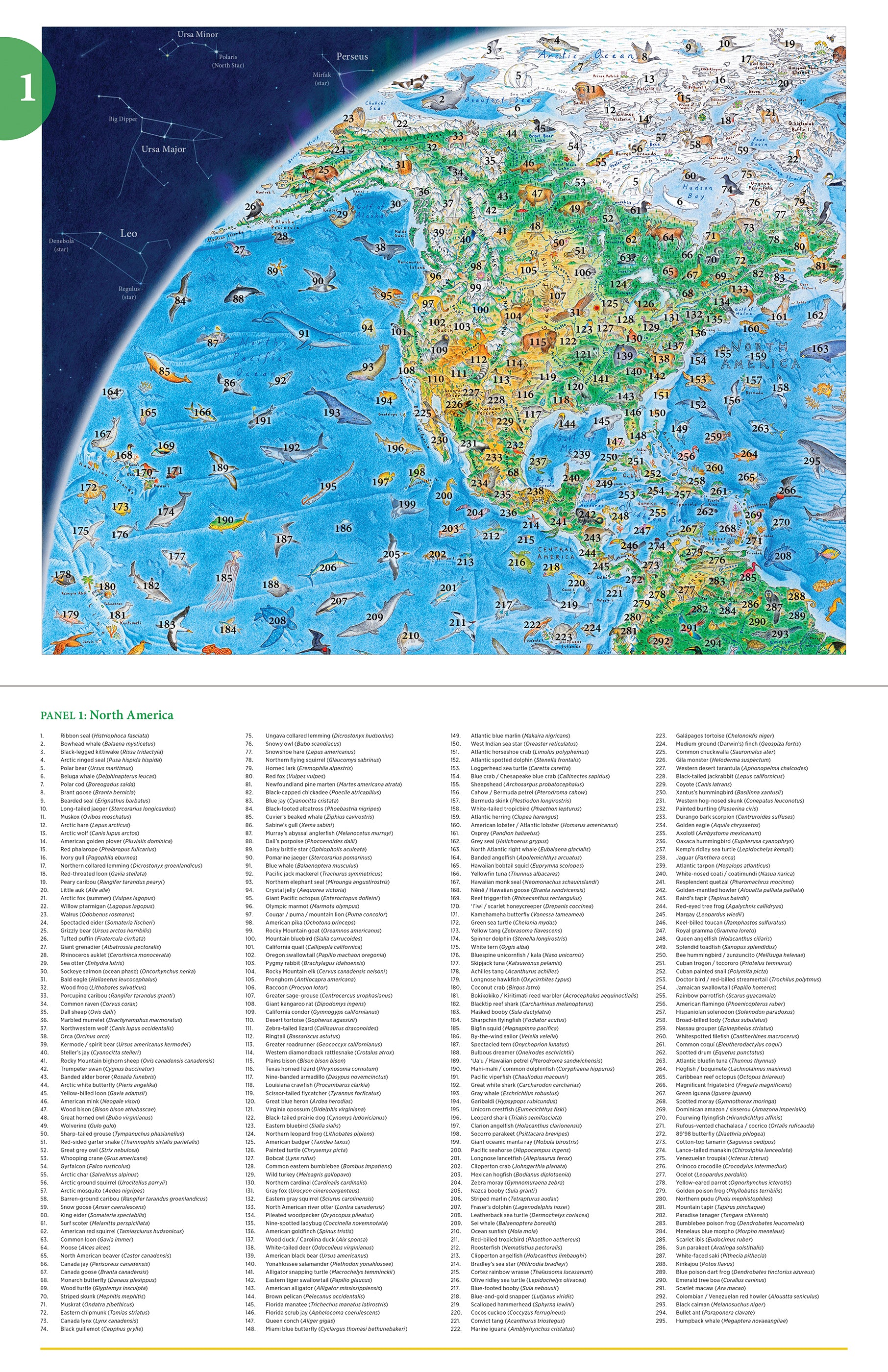 Anton Thomas: Wild World 1500-Piece Jigsaw Puzzle – Pomegranate