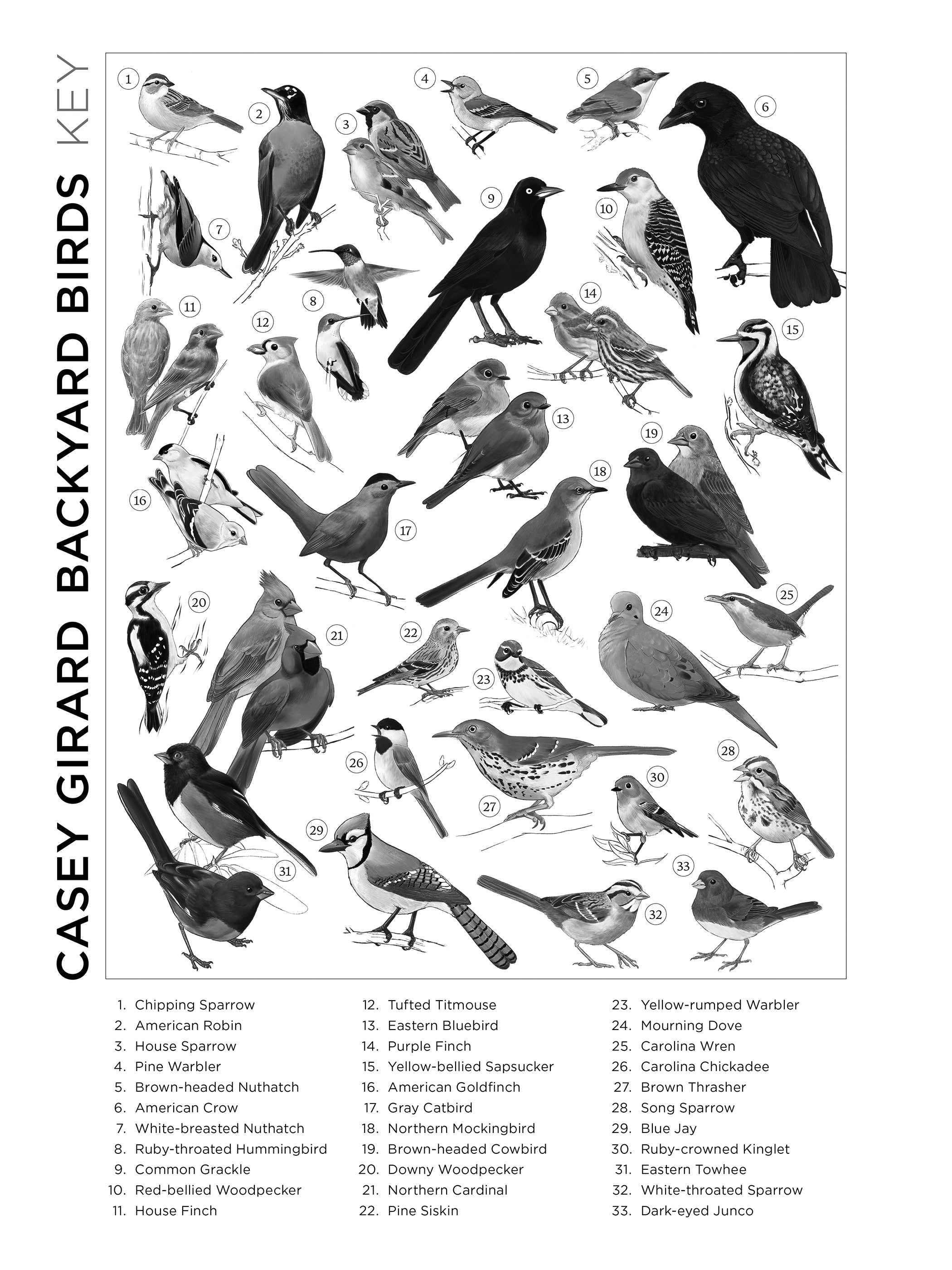Casey Girard: Backyard Birds 1000-Piece Jigsaw Puzzle – Pomegranate