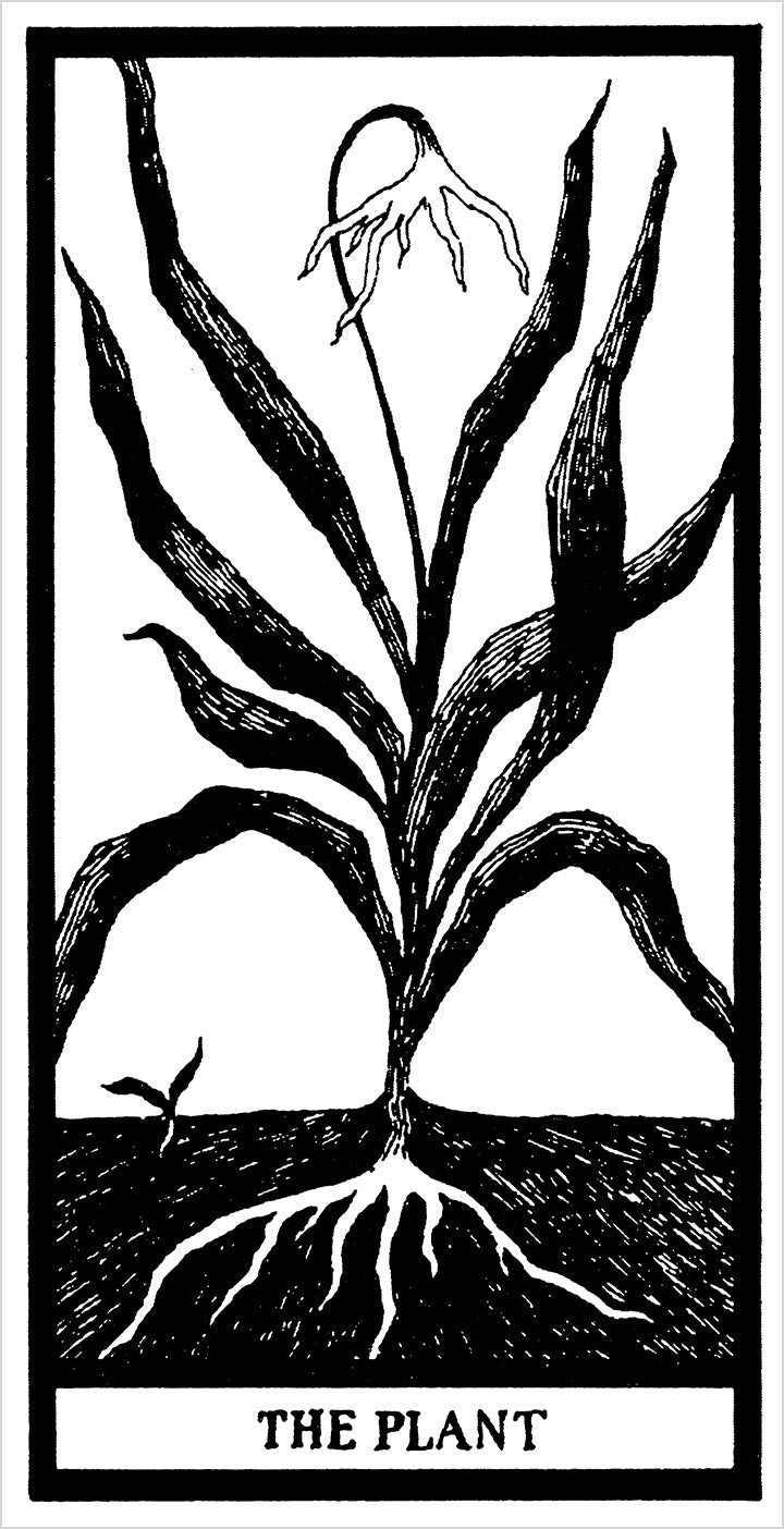 The Fantod Pack by Edward Gorey – Pomegranate
