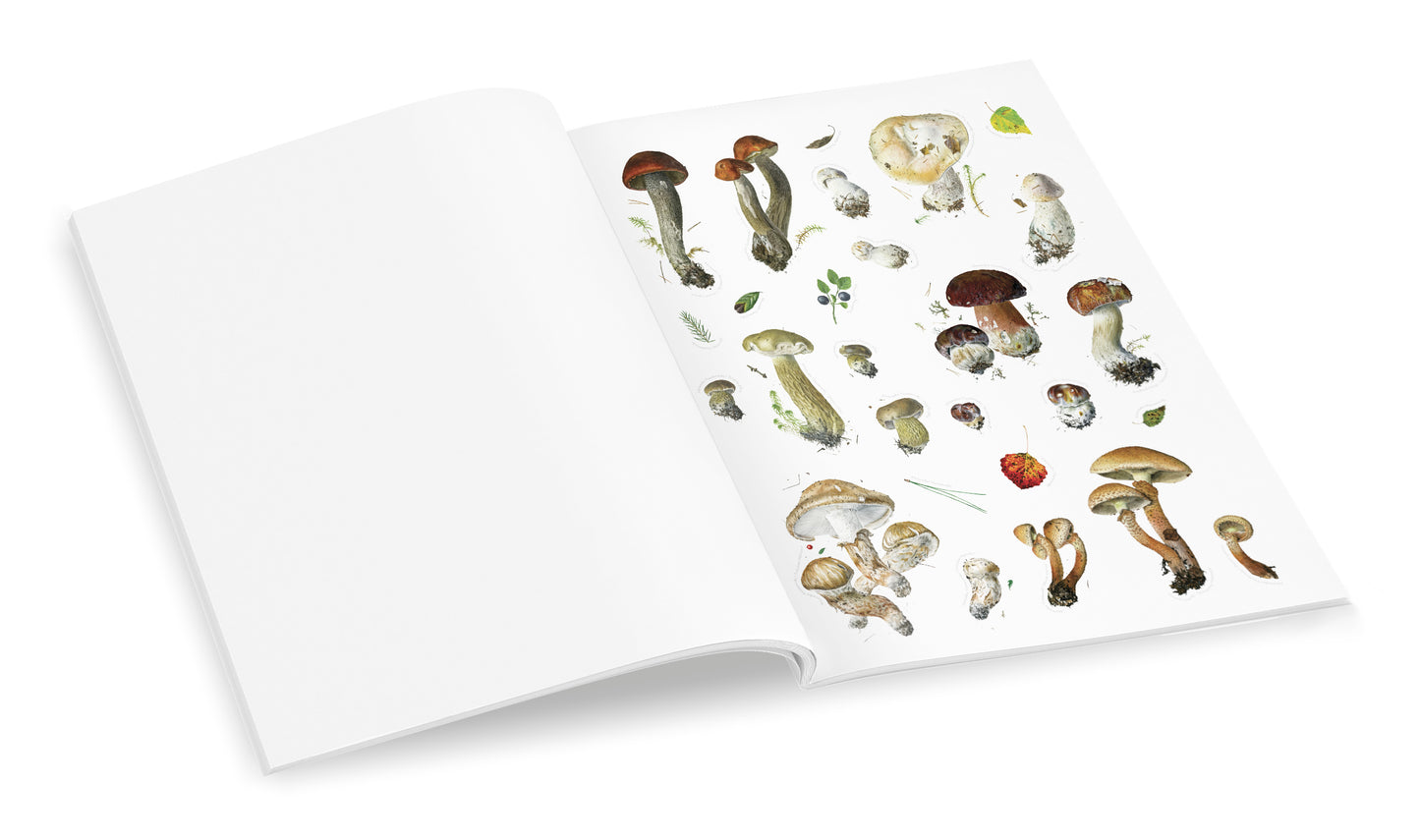 Mushrooms: Alexander Viazmensky Sticker Book_Interior_1