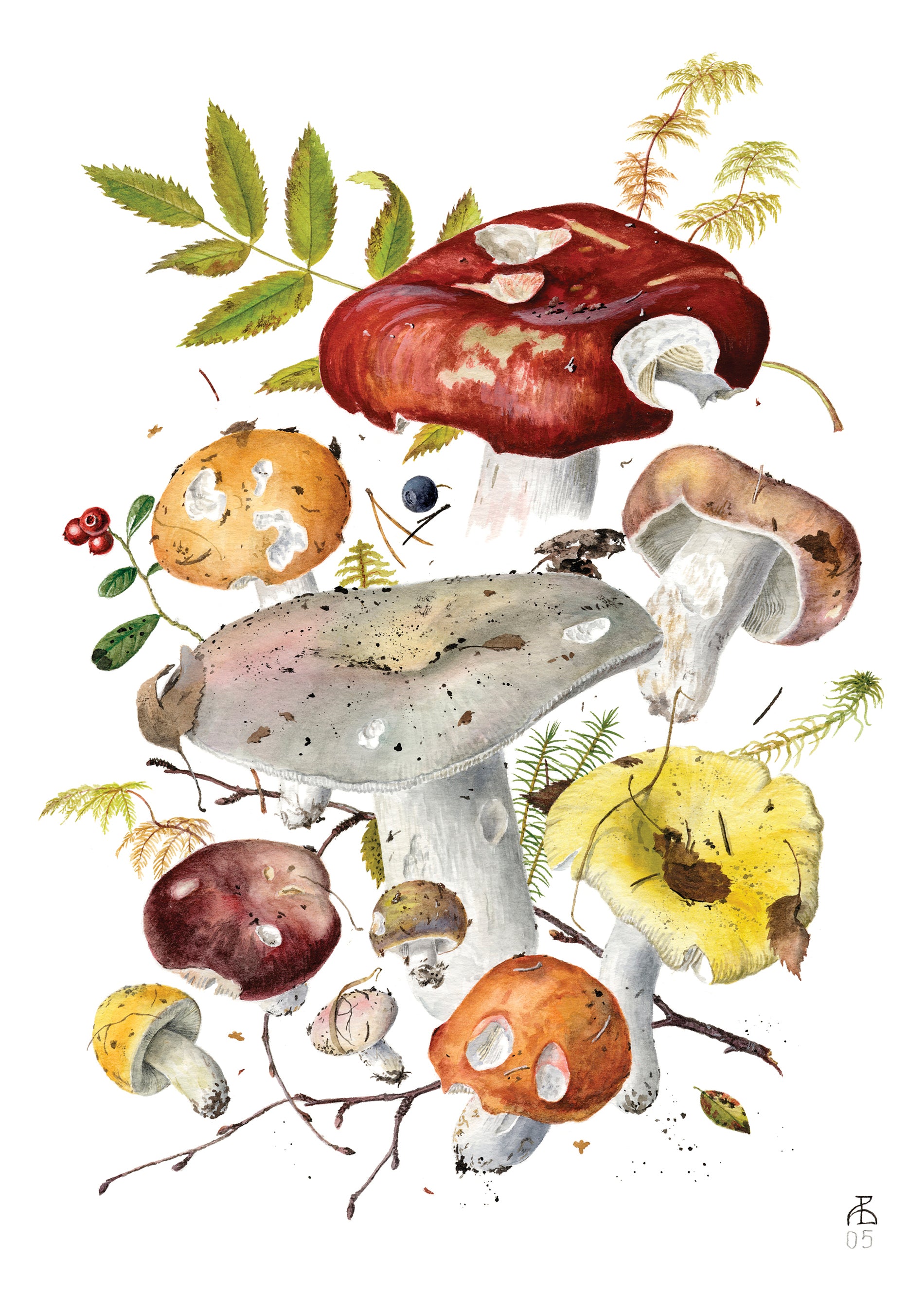 Lang Botanical Mushrooms Notizkarten-Set – 13 Karten Mit Umschlägen | Elegante Pilz-Motive, Leinenprägung