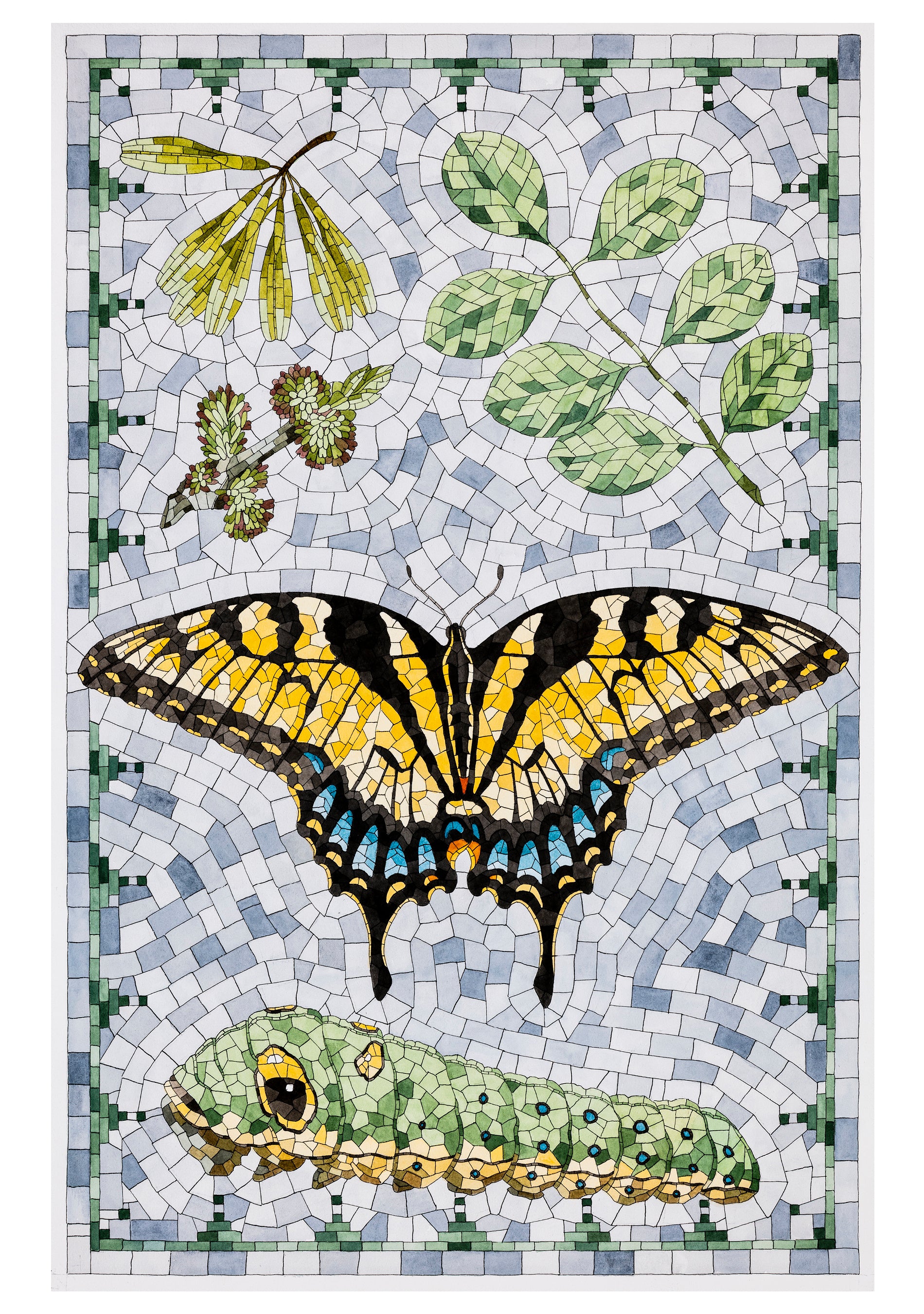 David Cohen: Butterflies Boxed Notecard Assortment – Pomegranate