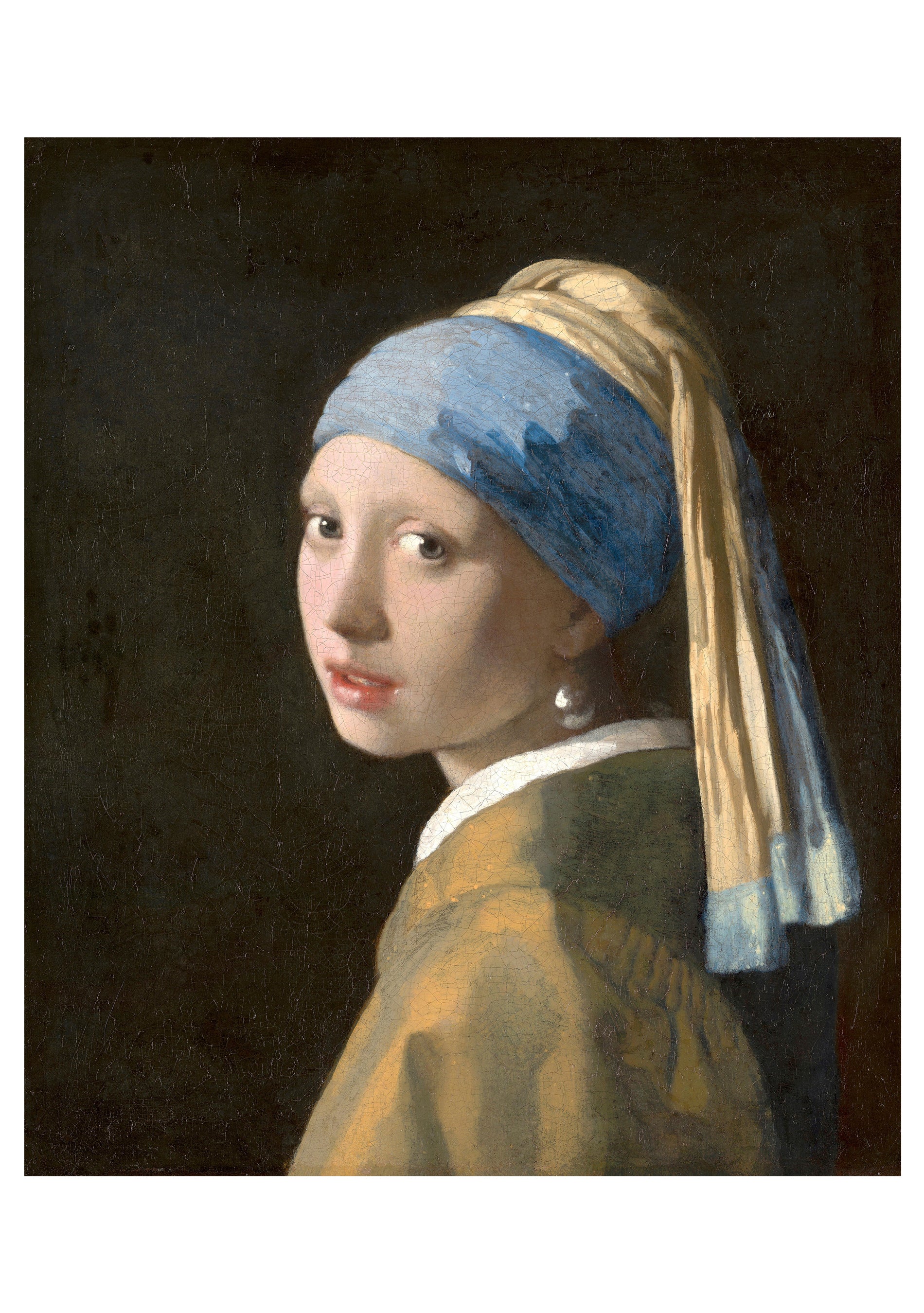 フェルメール全作品集 = Johannes Vermeer de comple… フェルメール全作品集 = Johannes Vermeer de complete werken