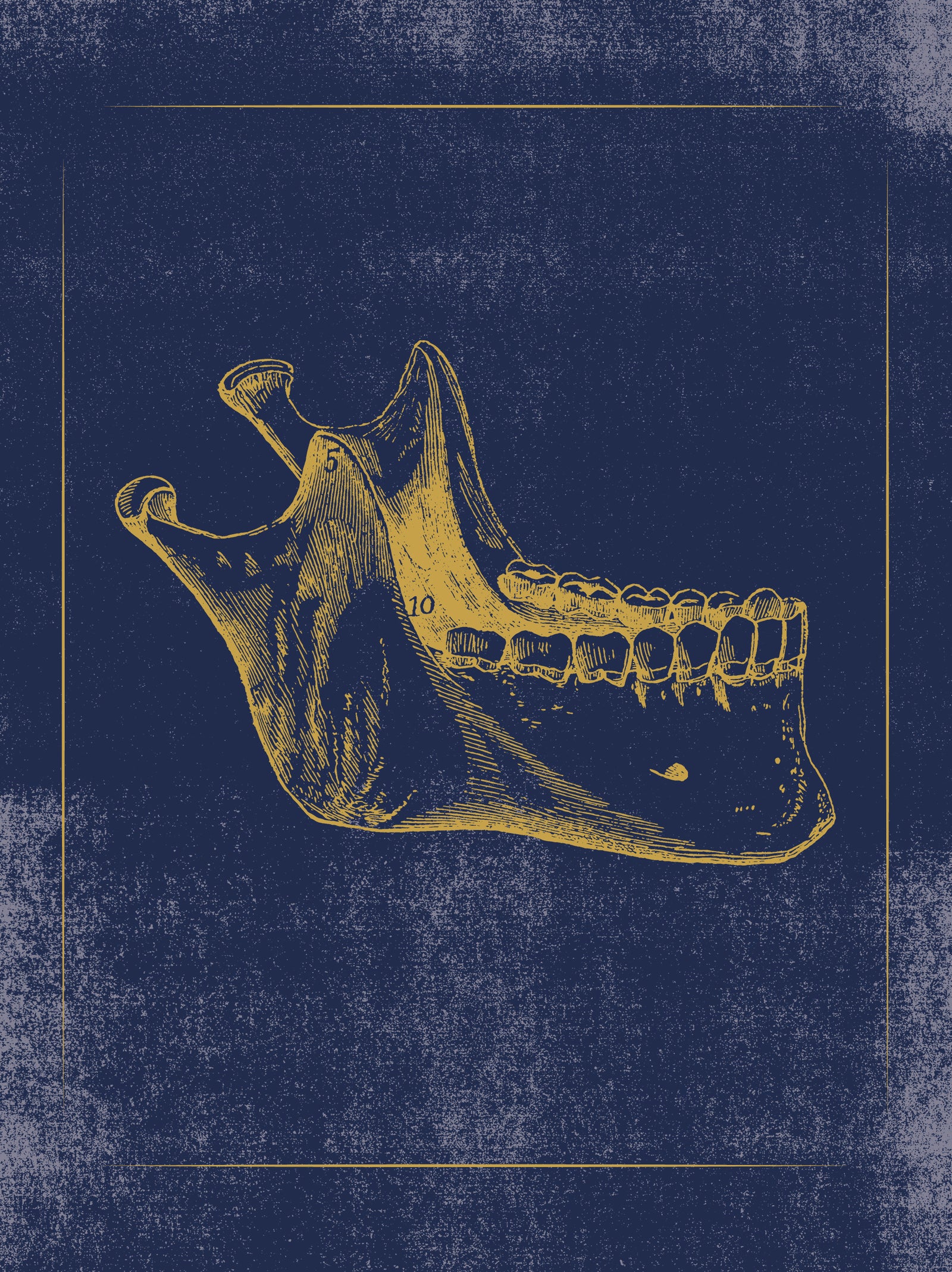 Vintage Anatomy Slipcase Boxed Notecards_Interior_5