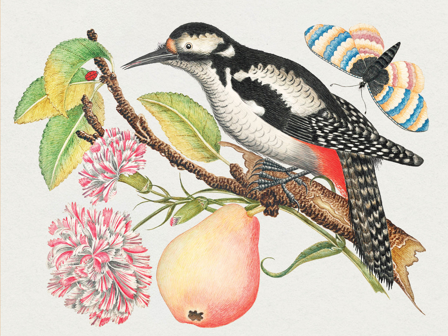 Flowers, Birds & Butterflies Celebrations Boxed Notecards_Interior_2