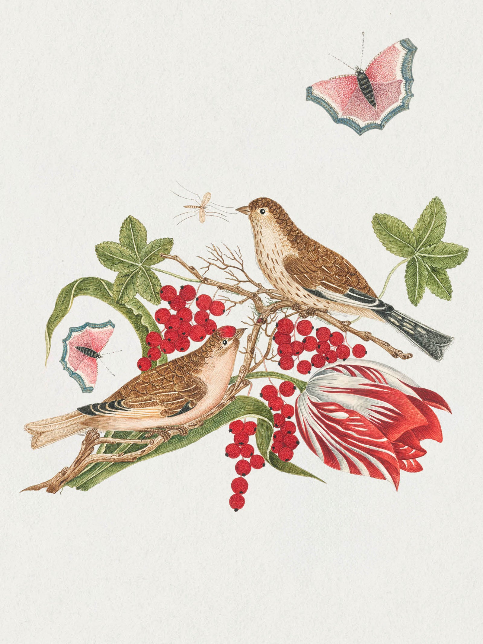 Flowers, Birds & Butterflies Celebrations Boxed Notecards_Interior_3