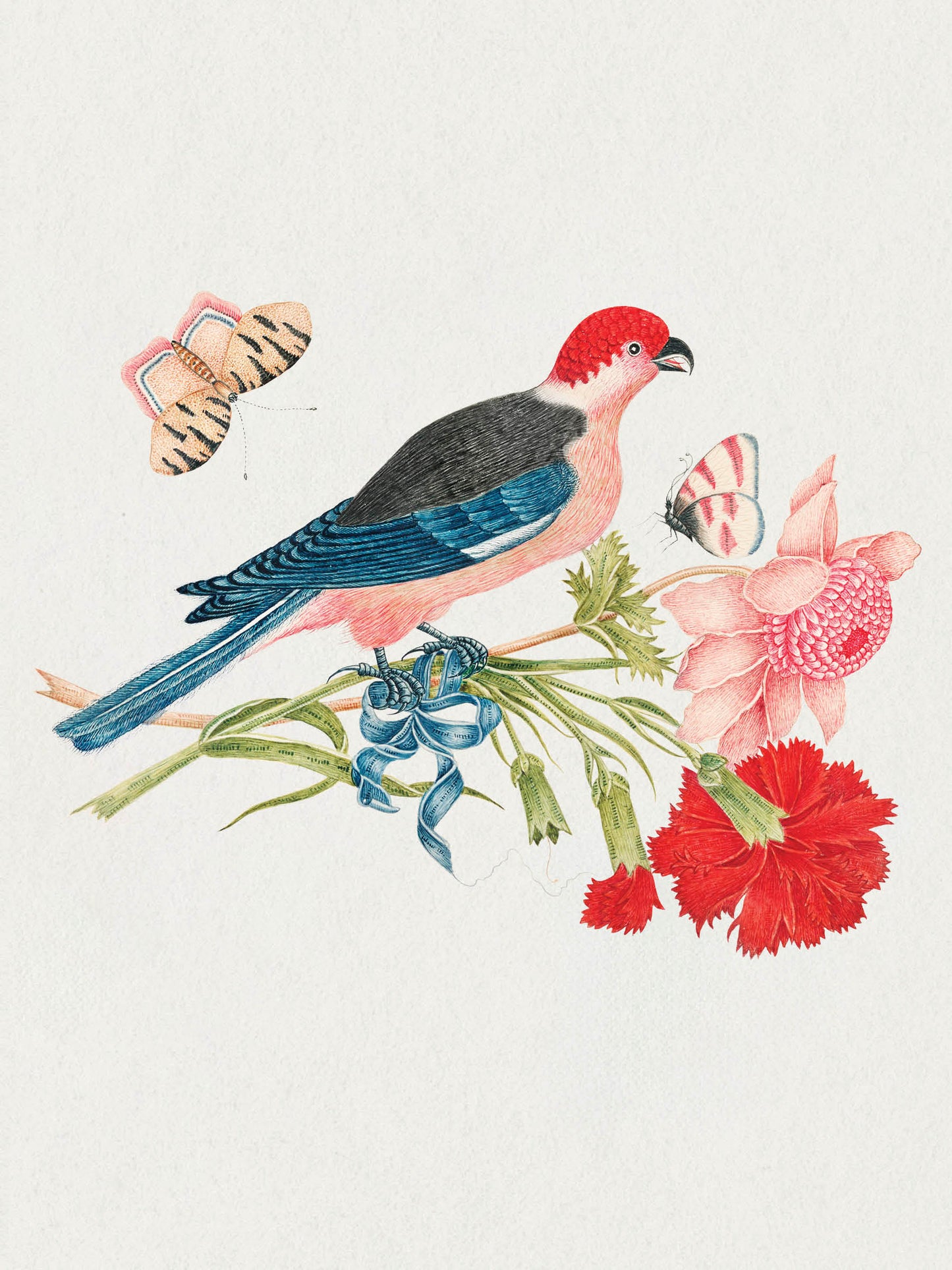 Flowers, Birds & Butterflies Celebrations Boxed Notecards_Interior_5