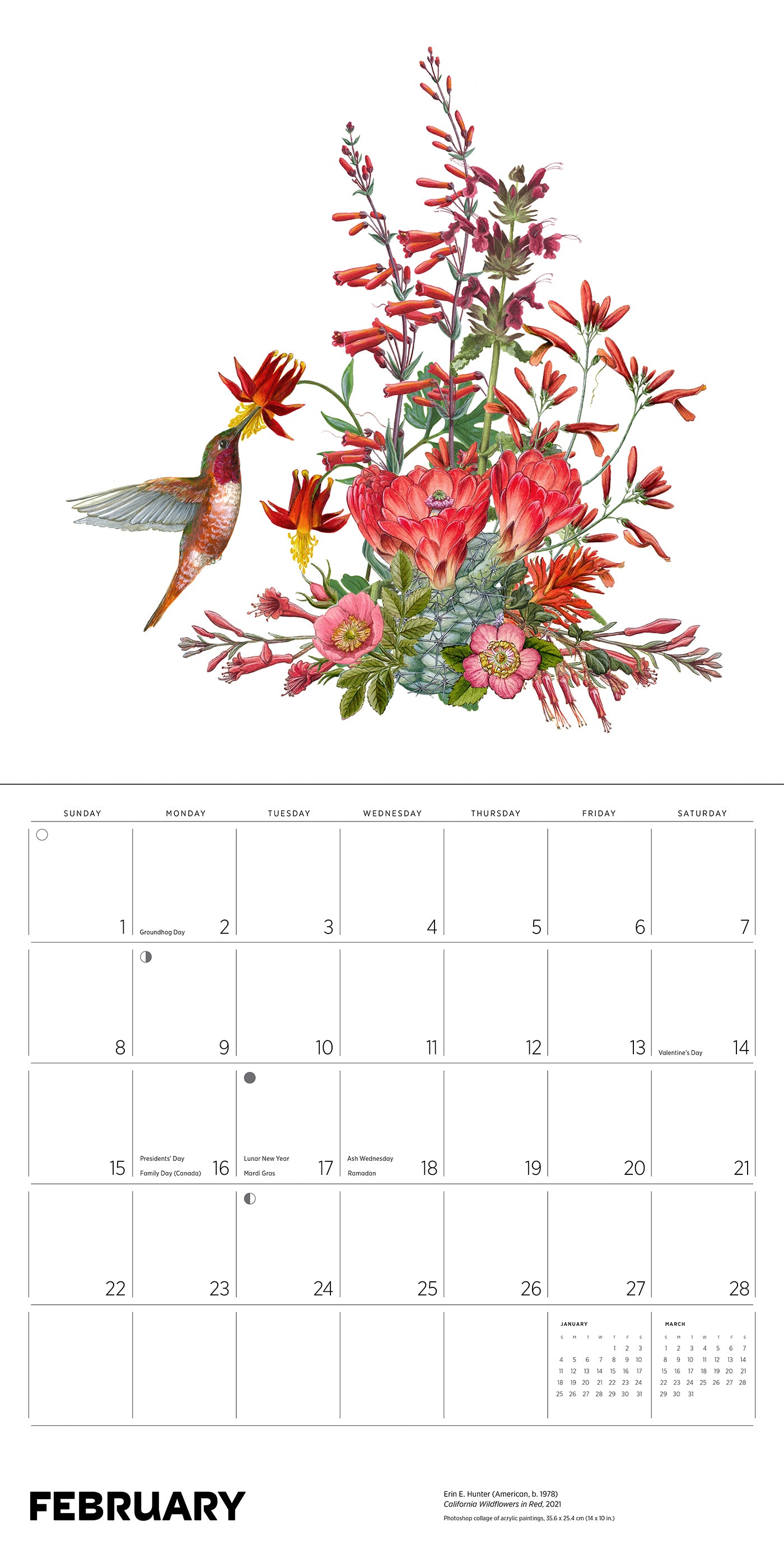 Erin E. Hunter: Pollinators 2026 Wall Calendar_Interior_2